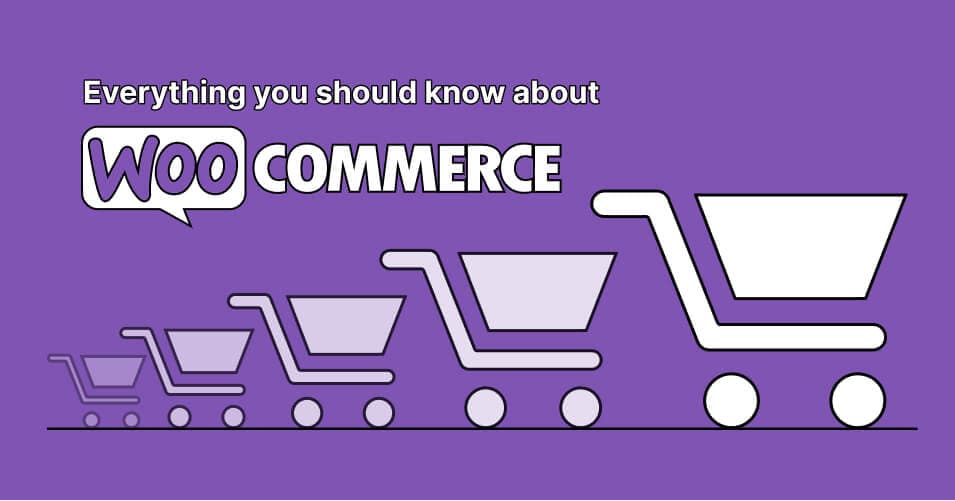 WooCommerce indexing pages to Google